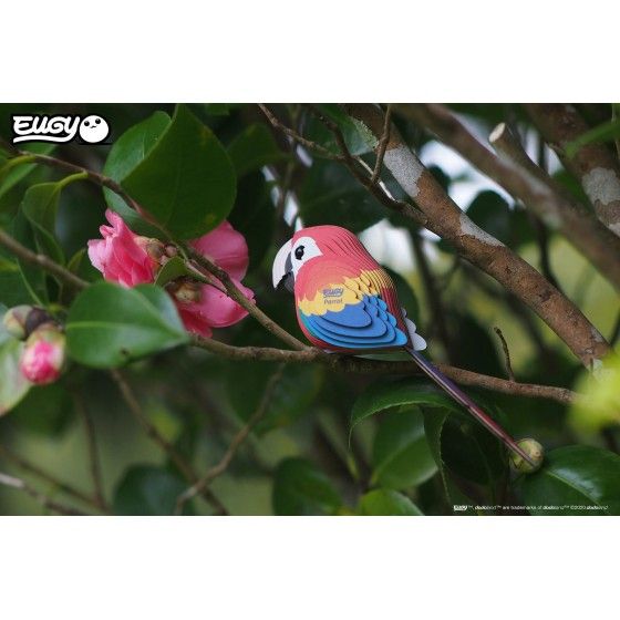 Eugy Parrot Eugy. Eco 3D puzzle. 