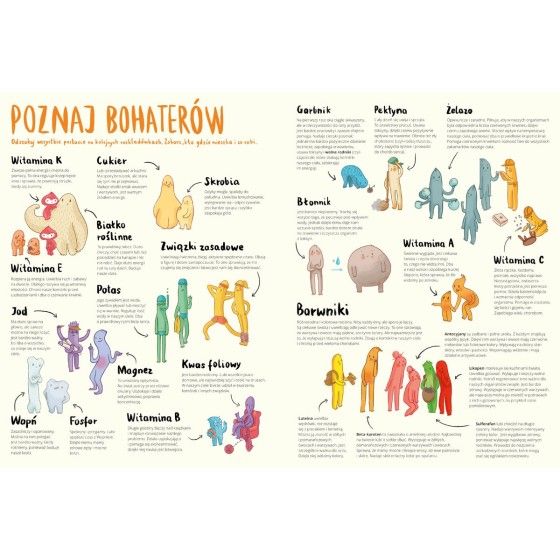 WNK Przekroje: owoce i warzywa