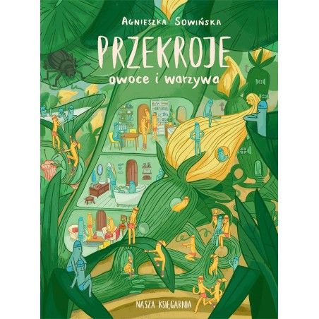 WNK keresztmetszetek: gyümölcsök és zöldségek
