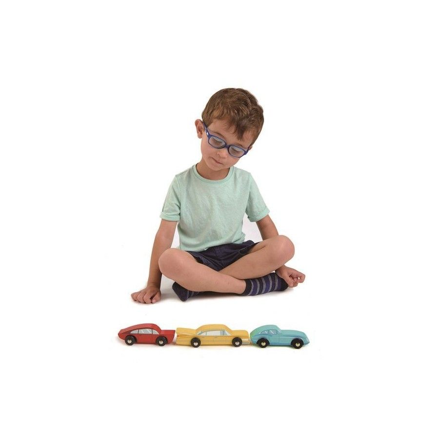 Tender Leaf Toys 复古木车,3辆