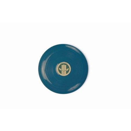 DANTOY 飞行器是蓝色的飞行器