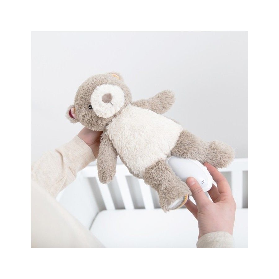 The Sleeping Bear
