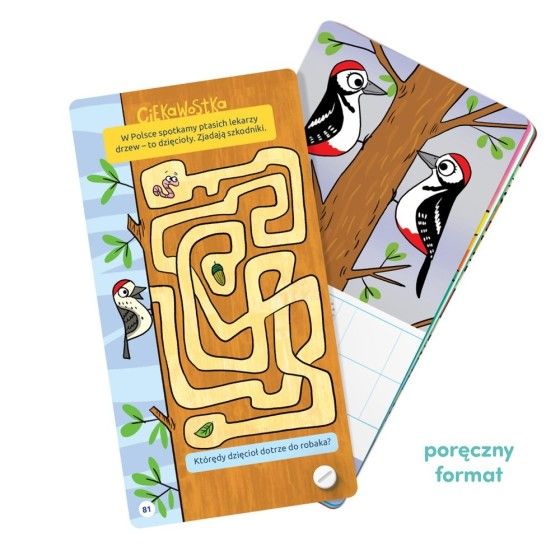 CzuCzu Fantastic logic games for kids 3+