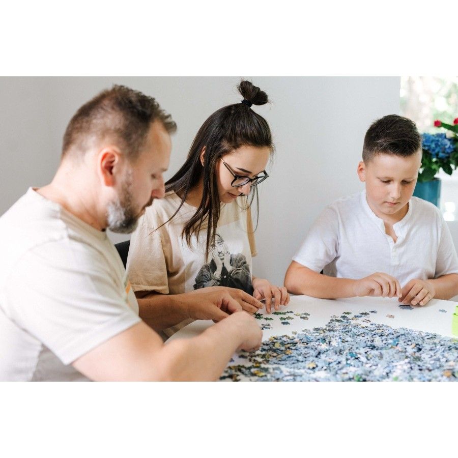 Trefl Un puzzle à 500 pièces. 