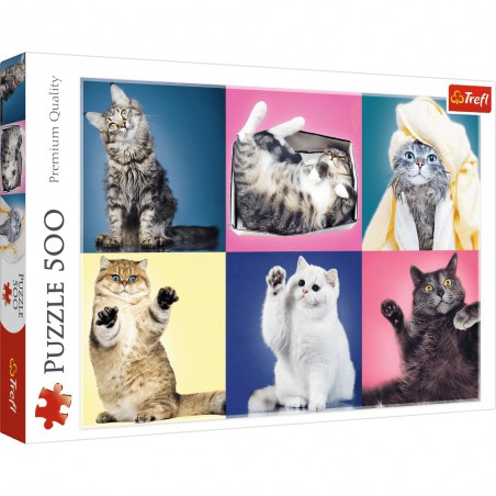 Trefl Das Puzzle ist 500el. - Die Katzen