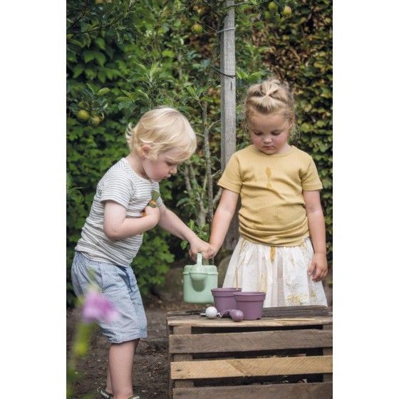 DANTOY GREEN GARDEN Set di piante e accessori