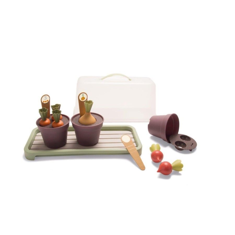 DANTOY GREEN GARDEN Mini szklarnia z roślinami