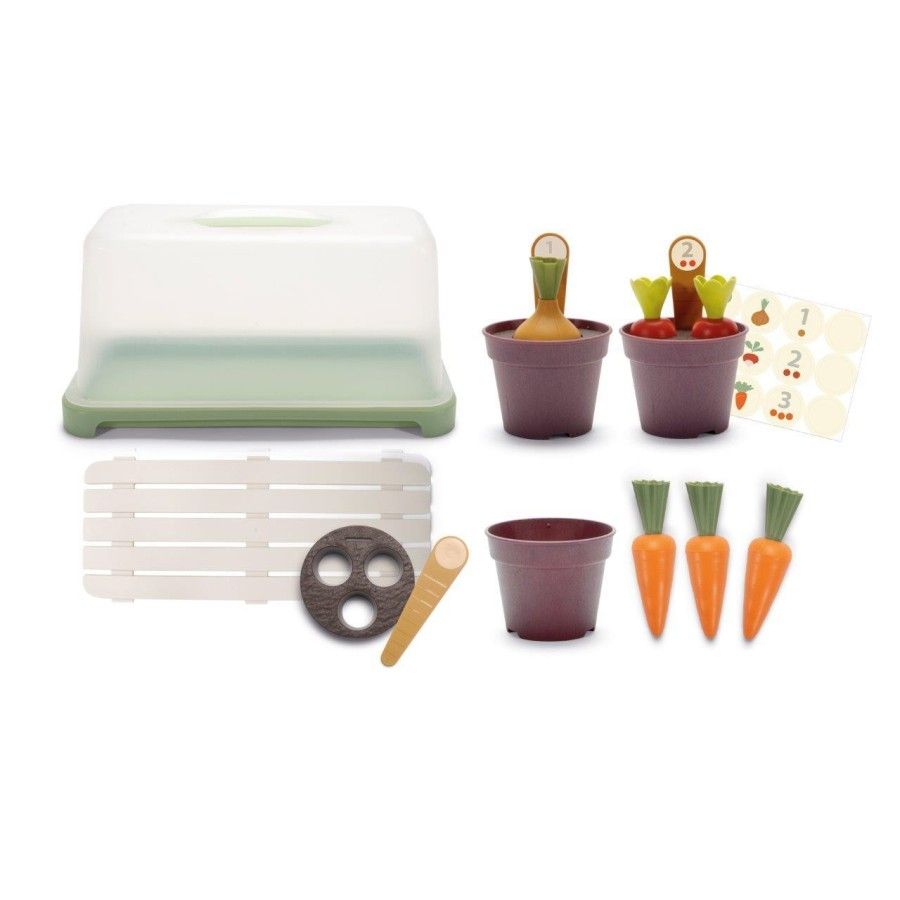 DANTOY Green Garden mini greenhouse with plants