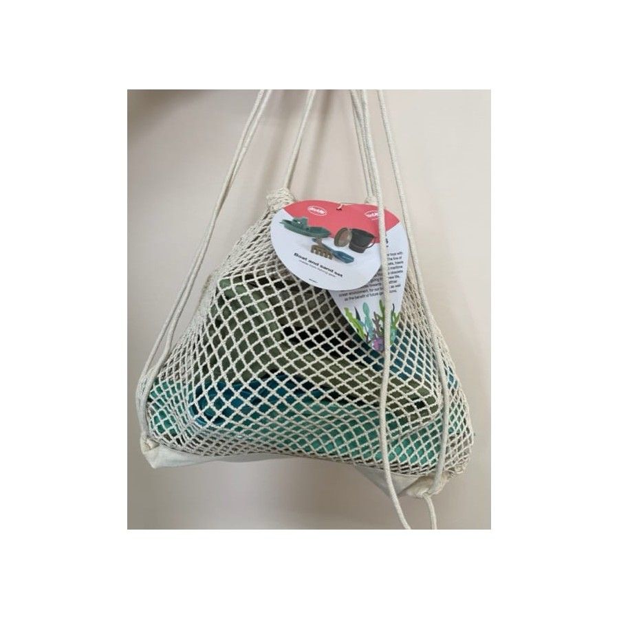 DANTOY 蓝色海洋玩具