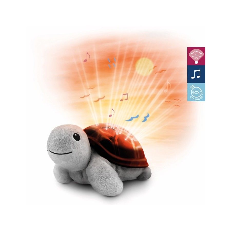Le projet de la tortue