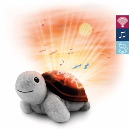 Le projet de la tortue