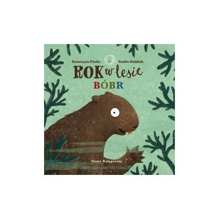 WNK a year in the forest. Beaver