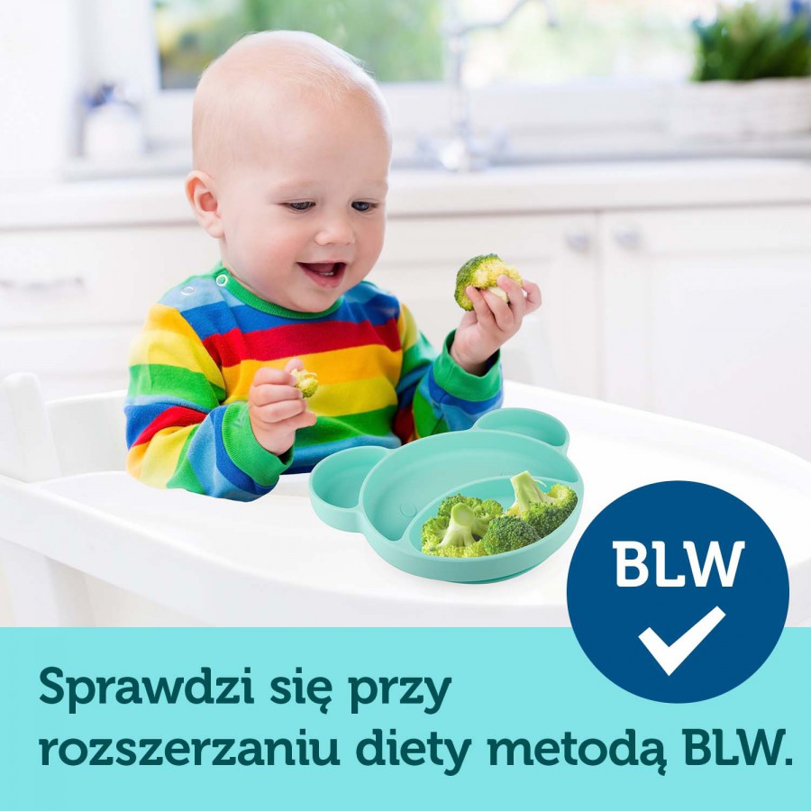 Canpol babies silikonowy trójdzielny talerzyk z przyssawką MIŚ turkus