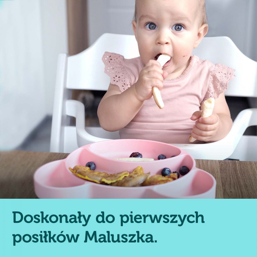 Canpol babies silikonowy trójdzielny talerzyk z przyssawką MIŚ turkus