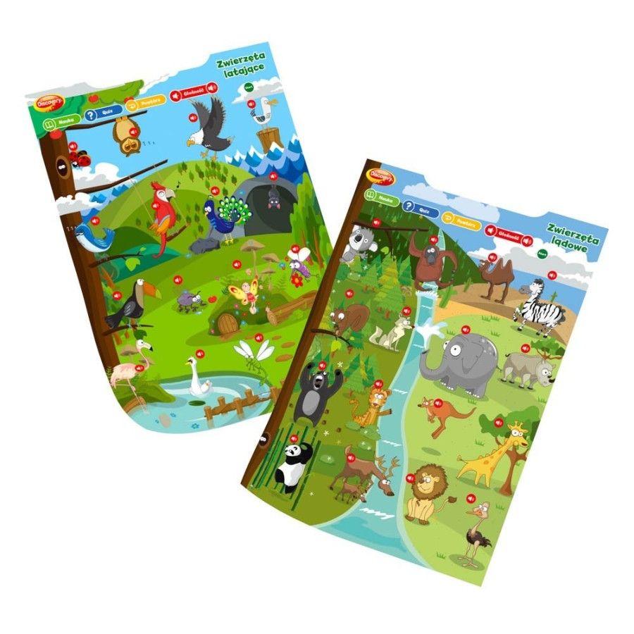 DUMEL Poster didattici - Animali e competizioni