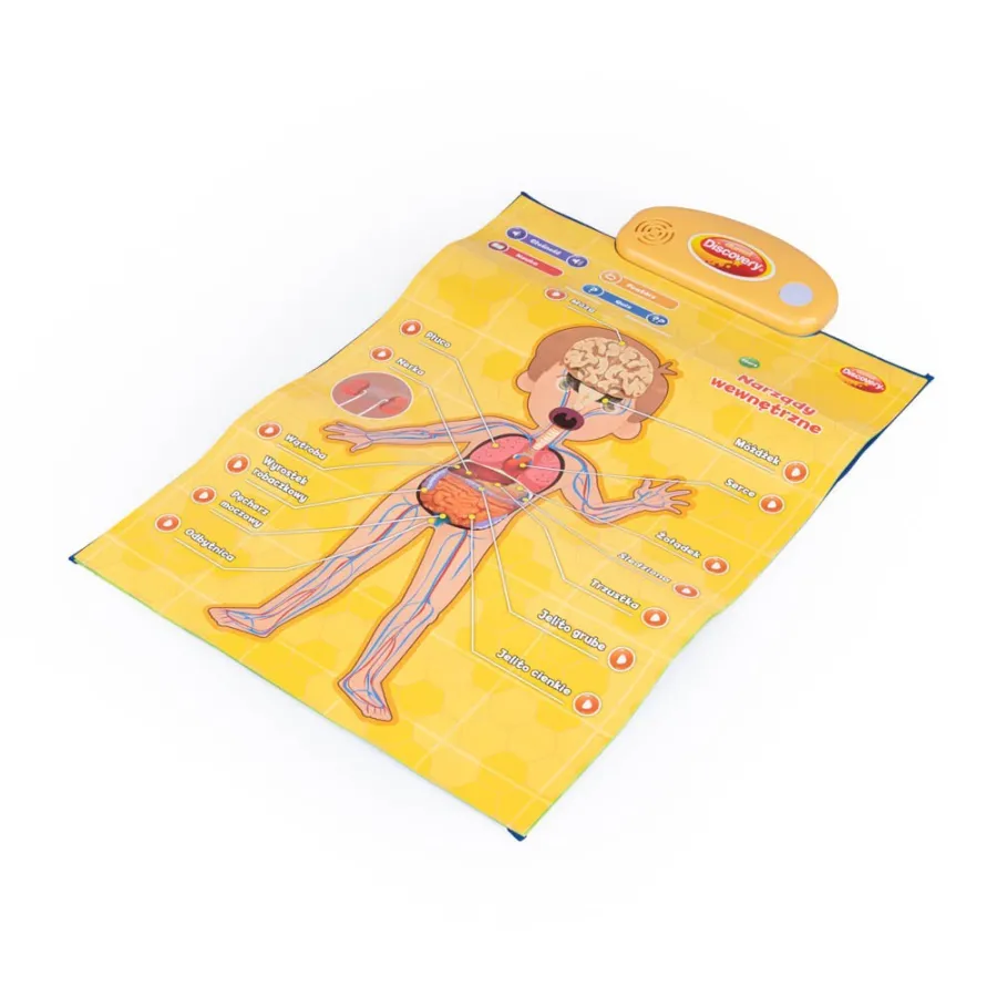 DUMEL Edukacyjne plakaty - Człowiek