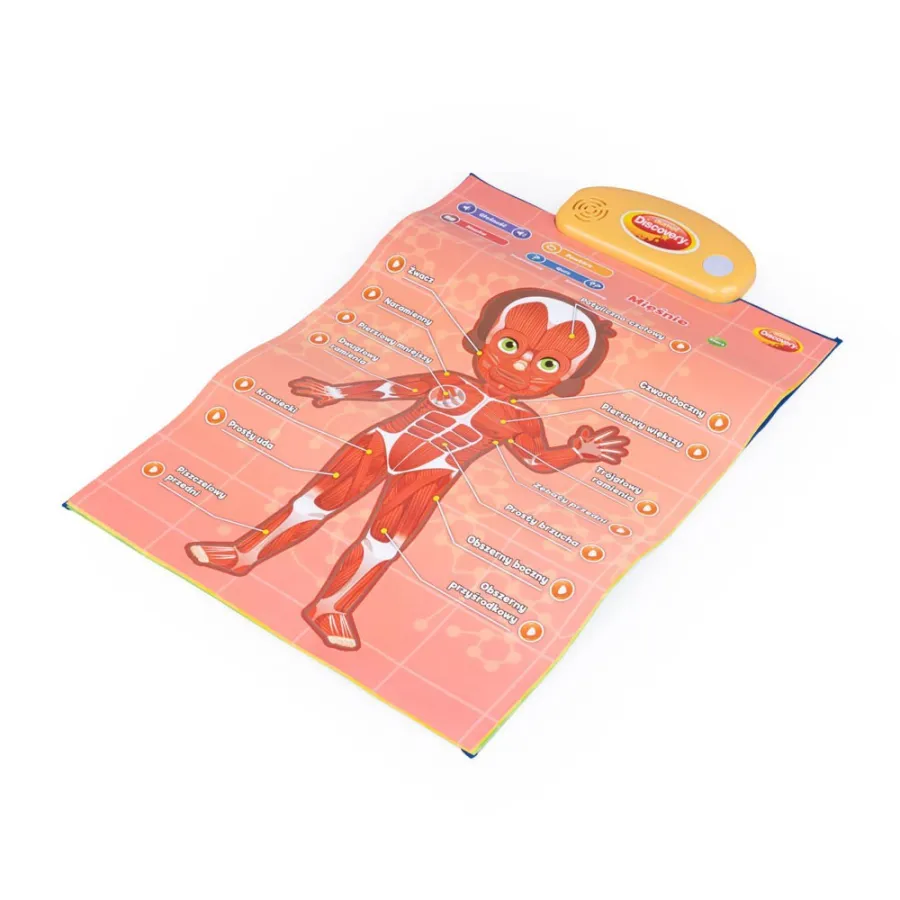 DUMEL Edukacyjne plakaty - Człowiek