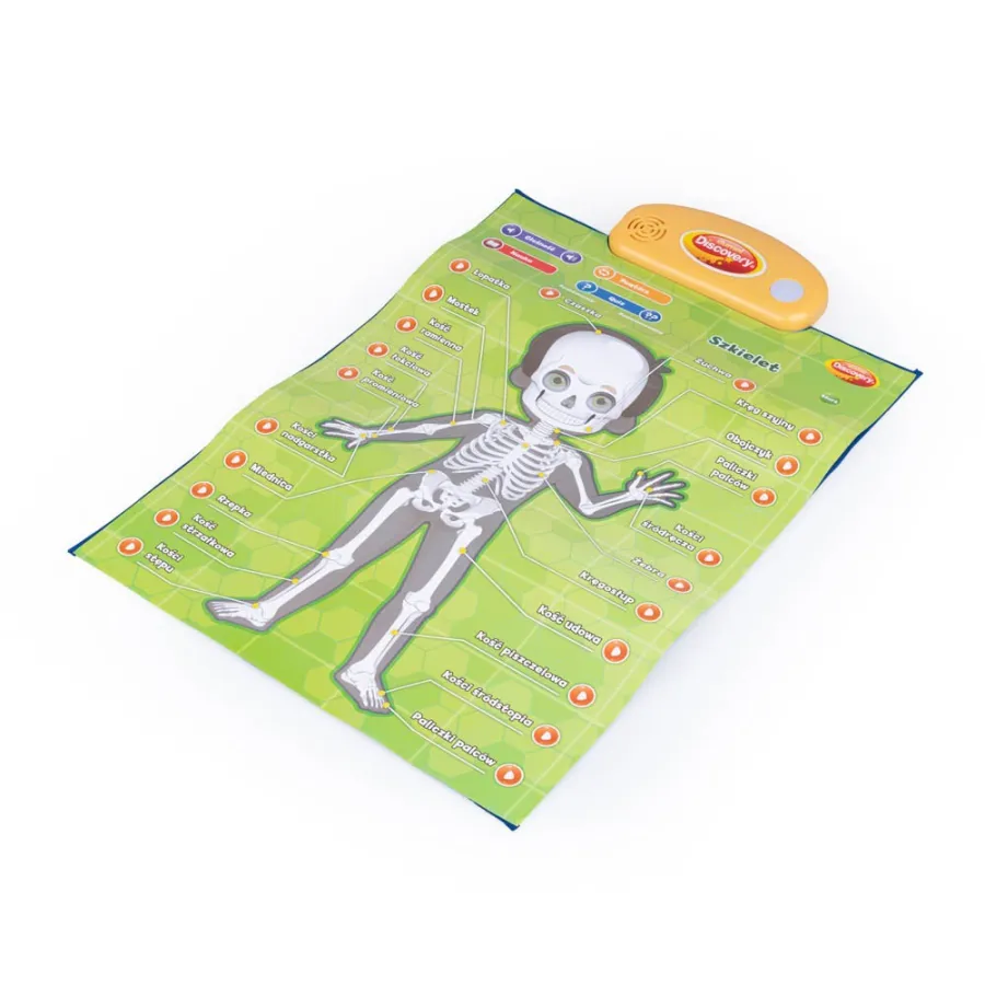 DUMEL Edukacyjne plakaty - Człowiek