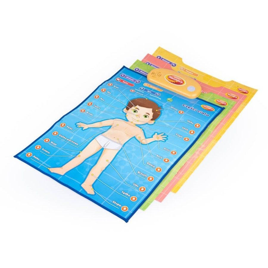 DUMEL Oktatási plakátok - férfi - 4712417962395