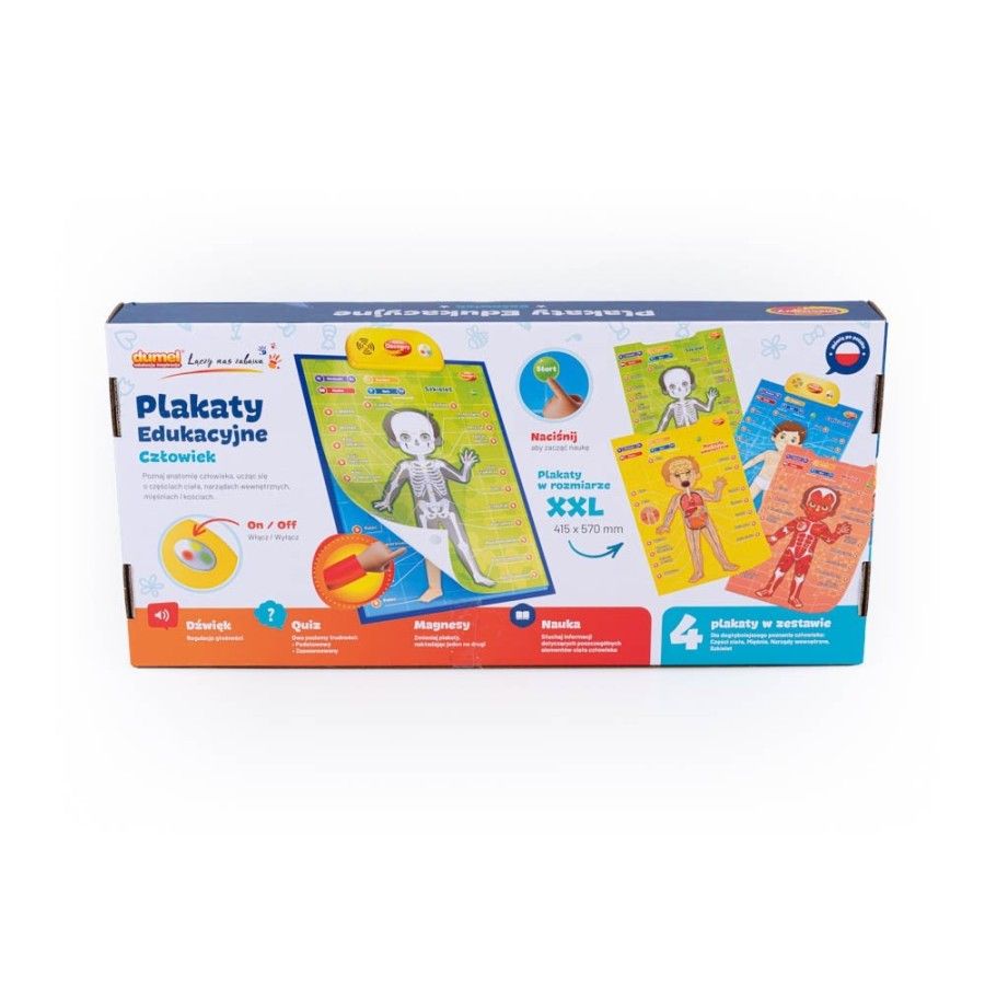 DUMEL Oktatási plakátok - férfi - 4712417962395