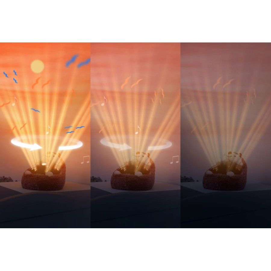 ZAZU HENRY PROJECTEUR DU COUCHER DU SOLEIL