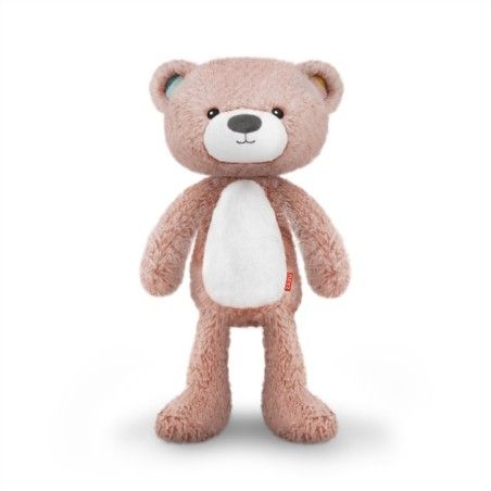 El entrenador del sueño y el oso rosa