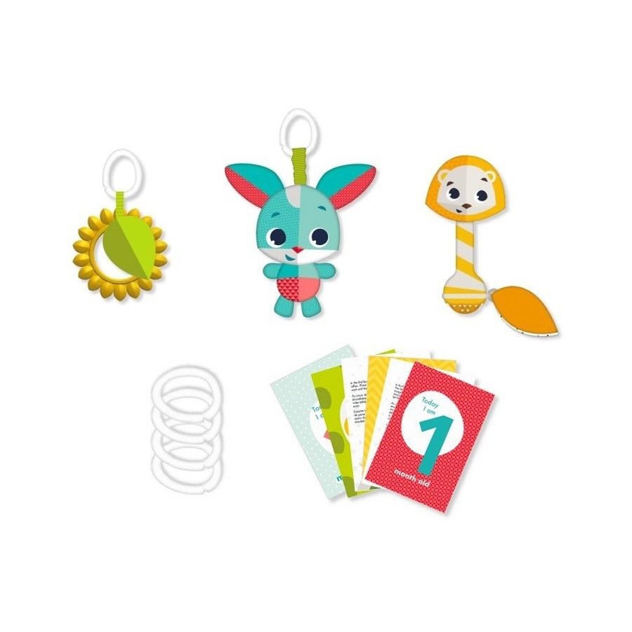 Tiny Love Set of toys for children with cards - fun on the meadow