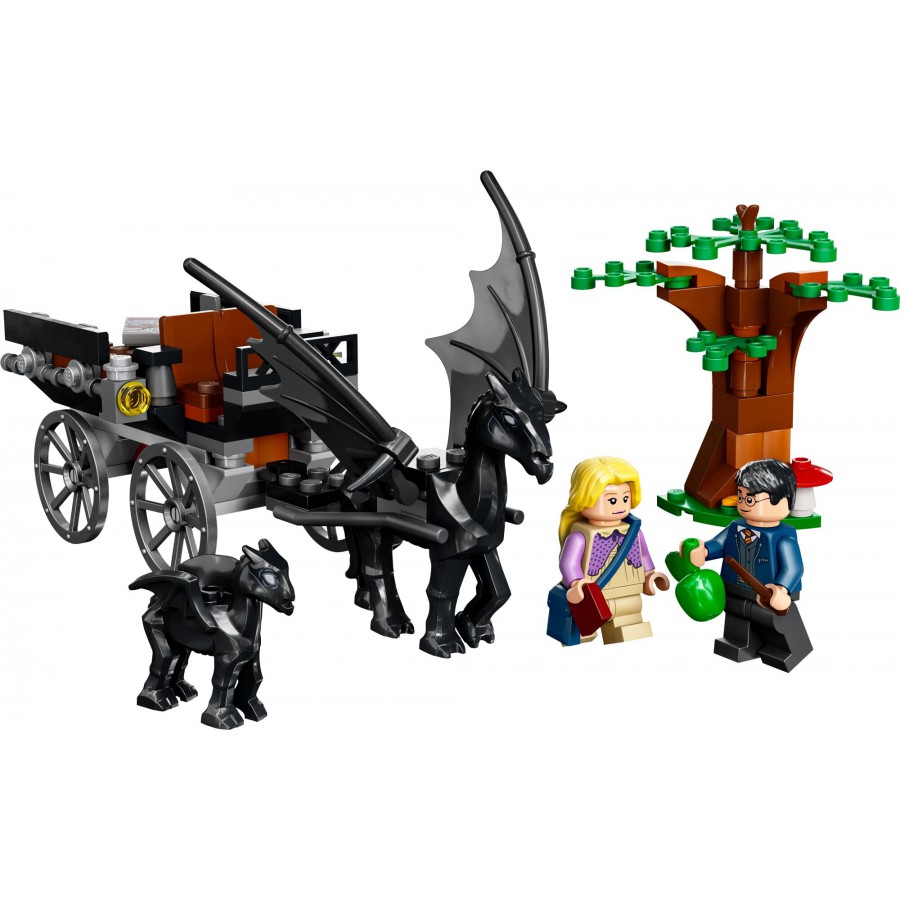 LEGO® Harry Potter™ - Testrale i kareta z Hogwartu -