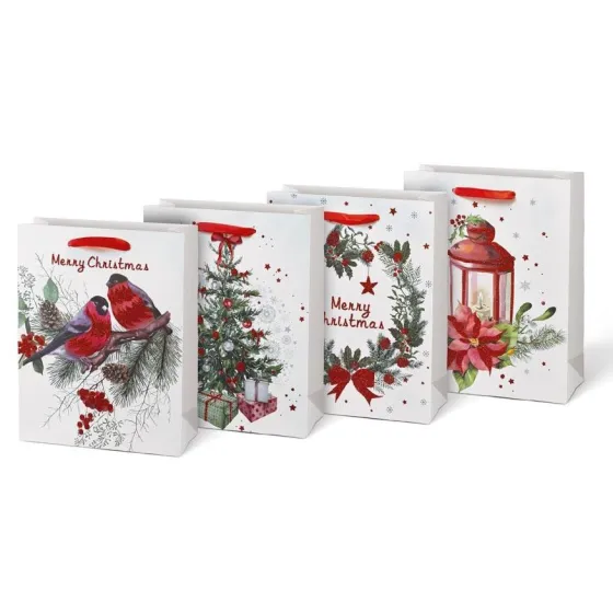 Mfp This is a gift bag.