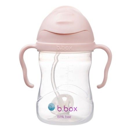B.BOX Water bottle with a pine