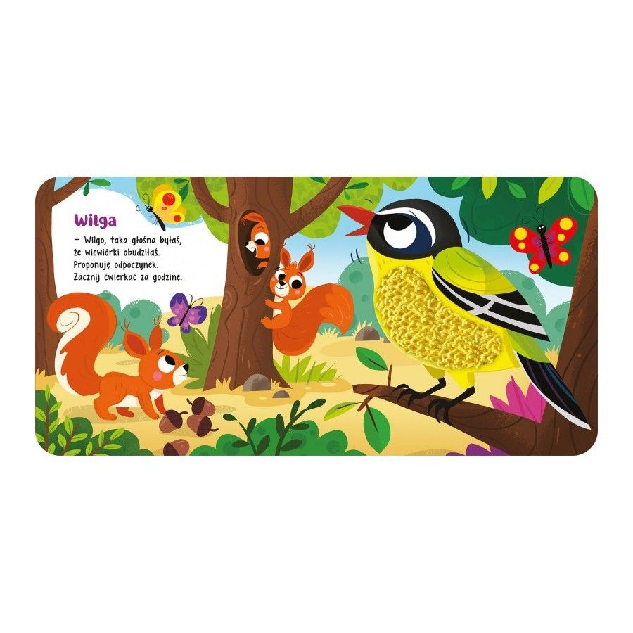 AKSJOMAT Touch and feel. Animals in the forest. 