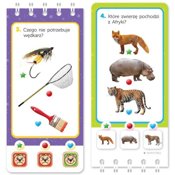 AKSJOMAT Magische quiz met een kikker. 