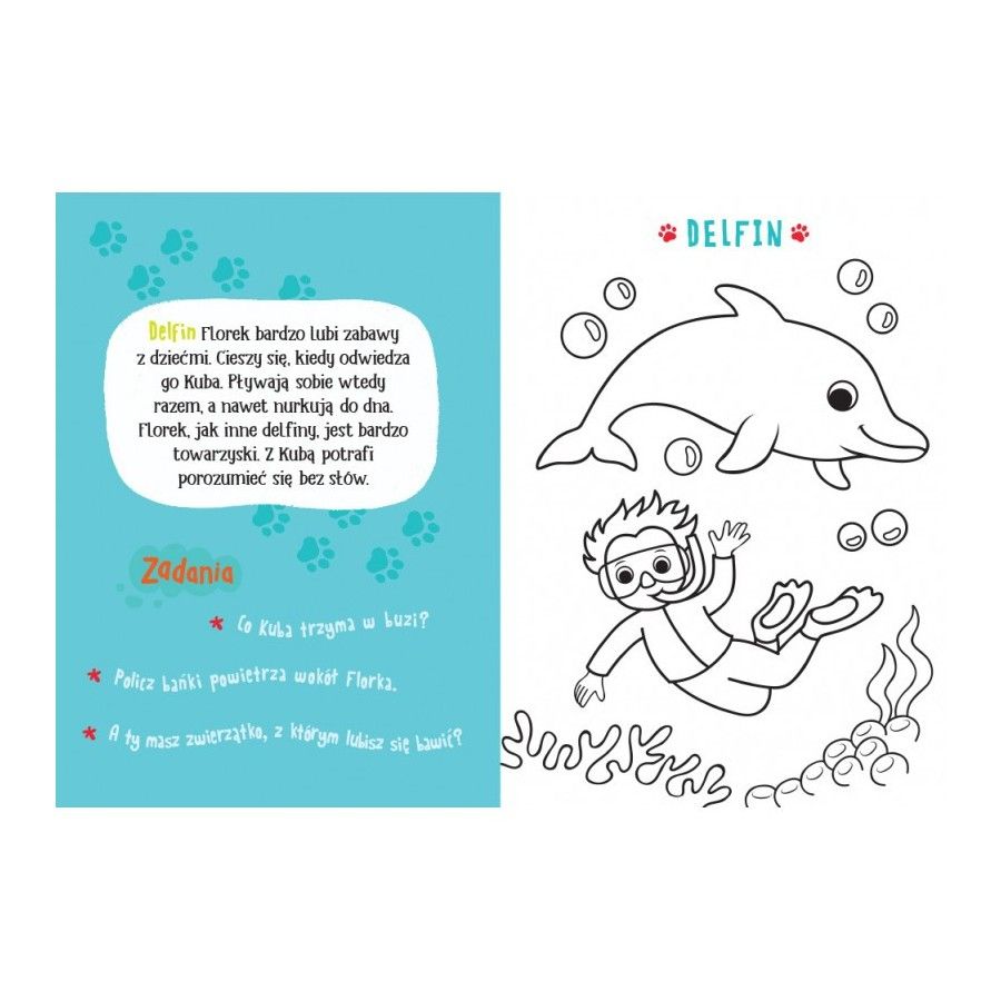 AKSJOMAT Coloring book with paints and brush. 