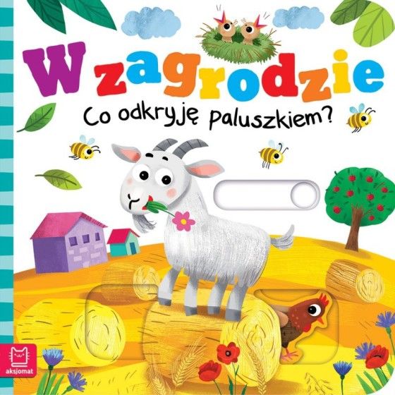 AKSJOMAT Az udvarban. Mit fogok felfedezni az ujját?