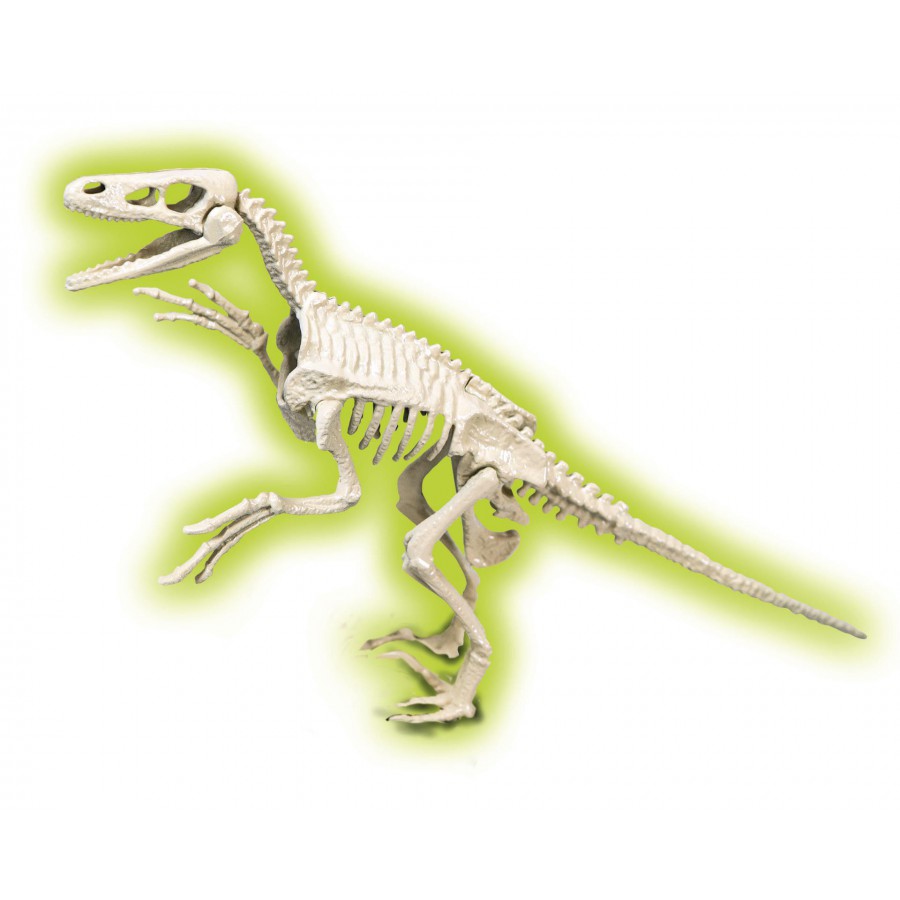 Clementoni Skamieniałości Welociraptor - 8005125506392