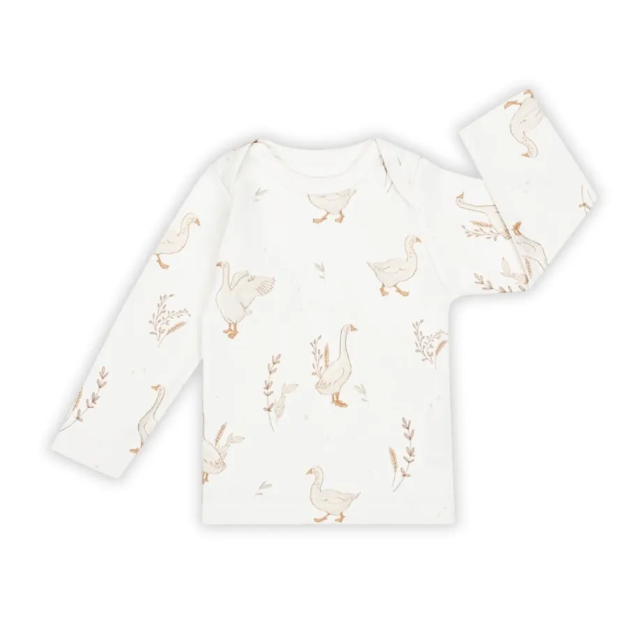 ColorStories Baba készlet 62cm 4 elemek Happy Liba -