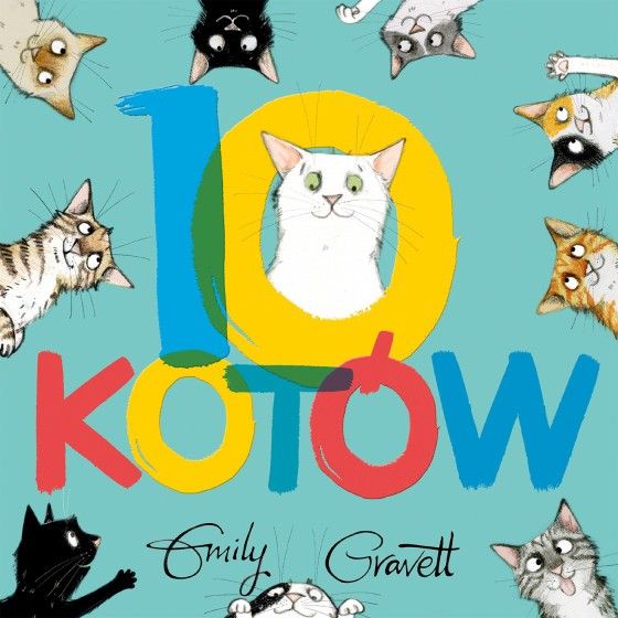 Wnk 10 gatos