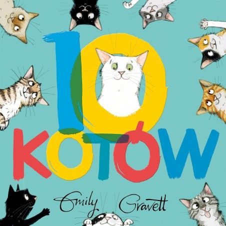 WNK 10 Katzen