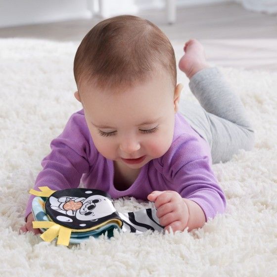 Fisher Price Gescheiden 2in1 HXG96 - 194735229666