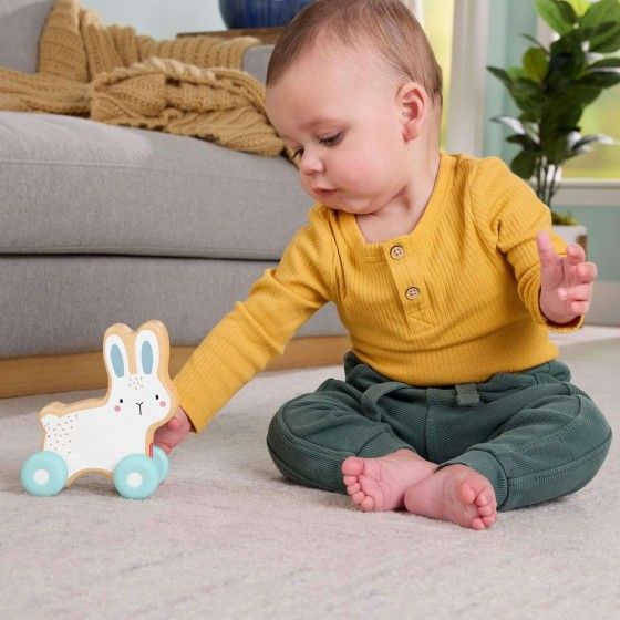 Fisher Price Lapin en bois à pousser JDM52 - 194735287857