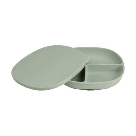 B.box A plate with lid, Salvium