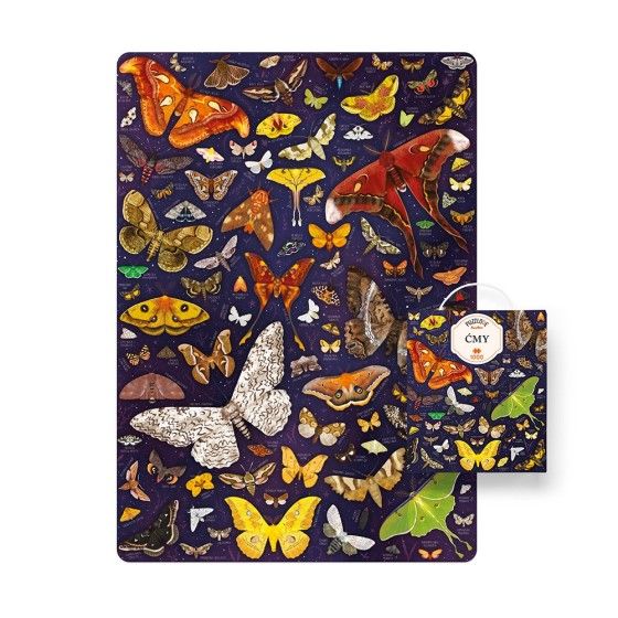 CzuCzu Puzzlove моллю - Сямейная галаваломка 1000el - 5902983492832