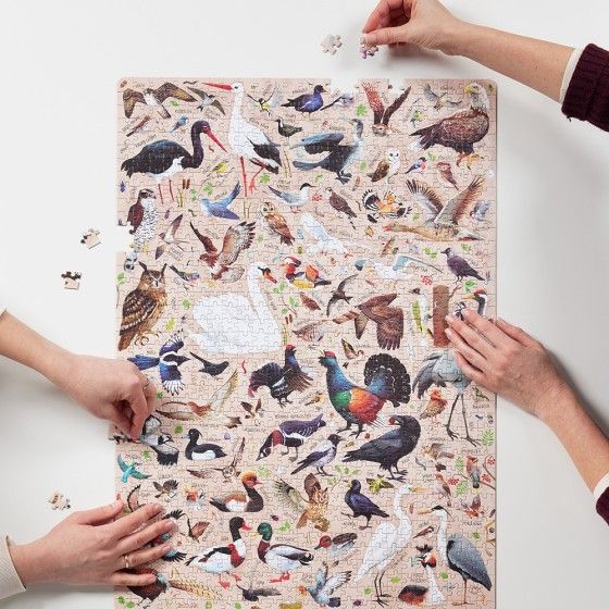CzuCzu Puzzzlove Poľské vtáky - Rodinné puzzle 1000 Elem -