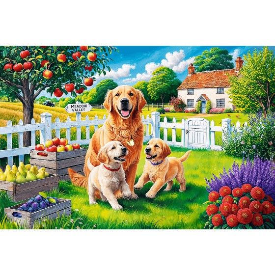 Trefl 300L-puzzel. - Plattelandshonden - 5900511231014