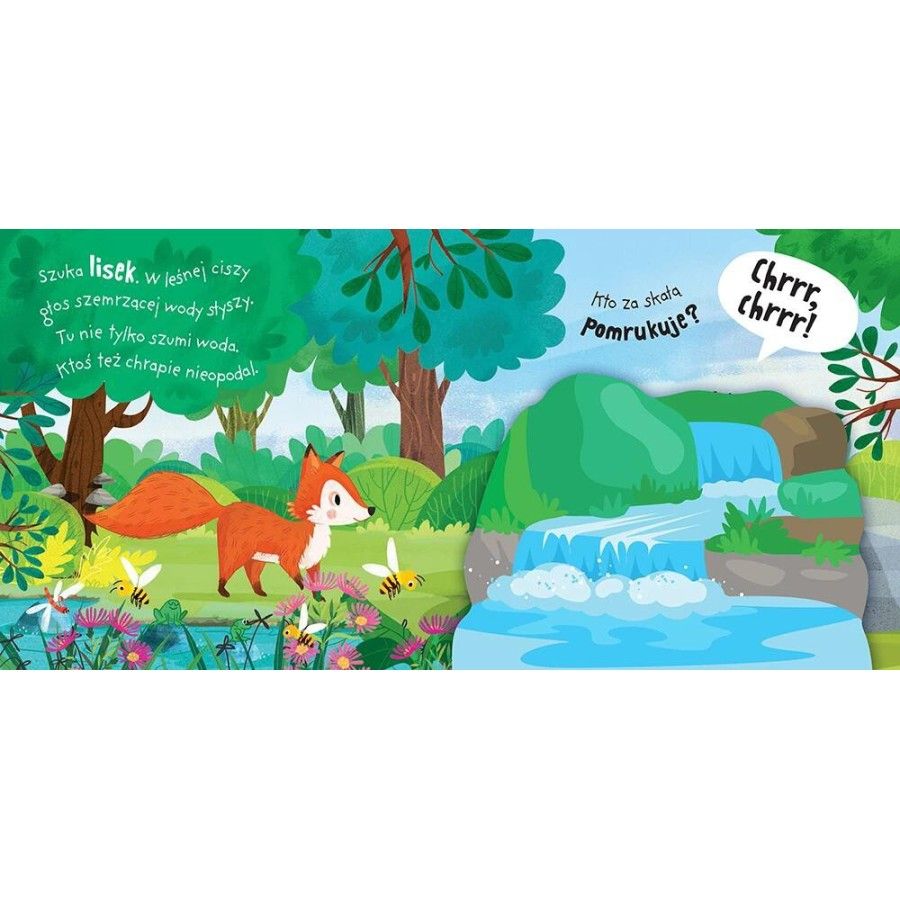 Axiom und Kuku! Im Wald. Filzklappen und Spiegel -