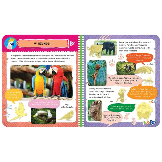 Axiom album matricával. Egzotikus állatok. 