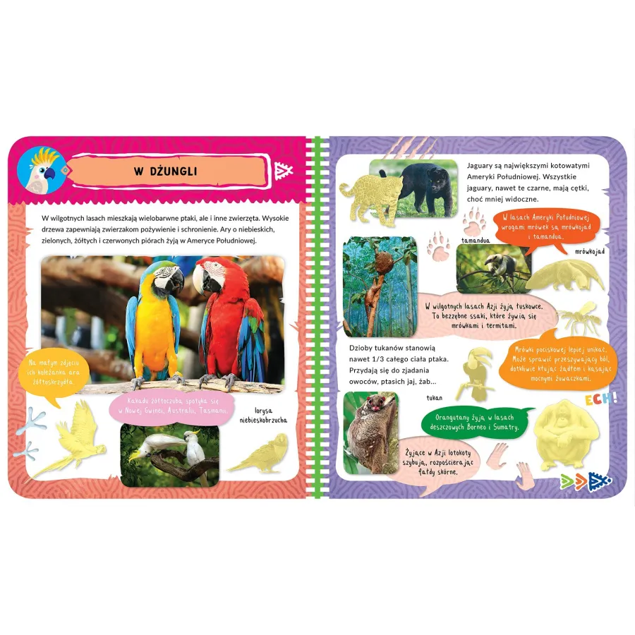 Axiom album matricával. Egzotikus állatok. 