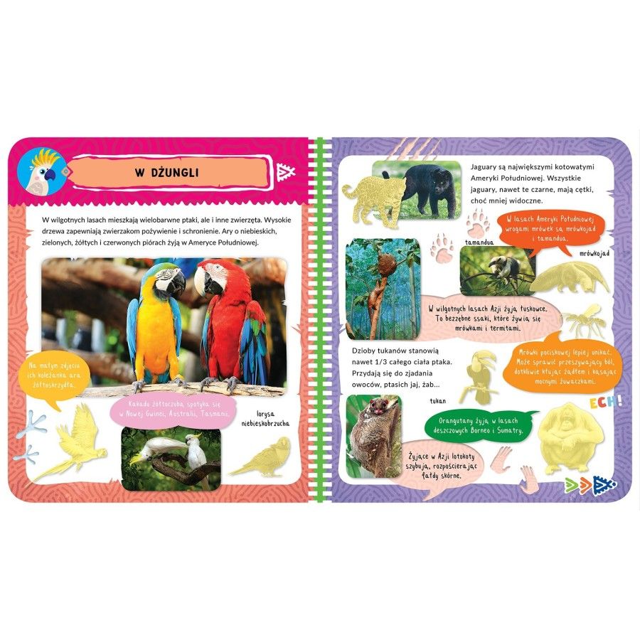 Axiom album with stickers. Exotic animals. 