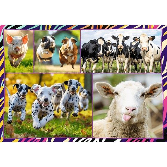 Trefl Puzzle 4x250el. 