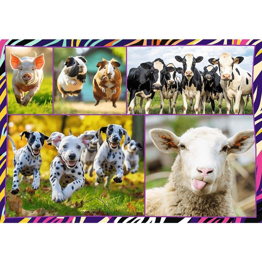 Trefl Puzzle 4x250el. Zabawne zwierzaki - 5900511133134